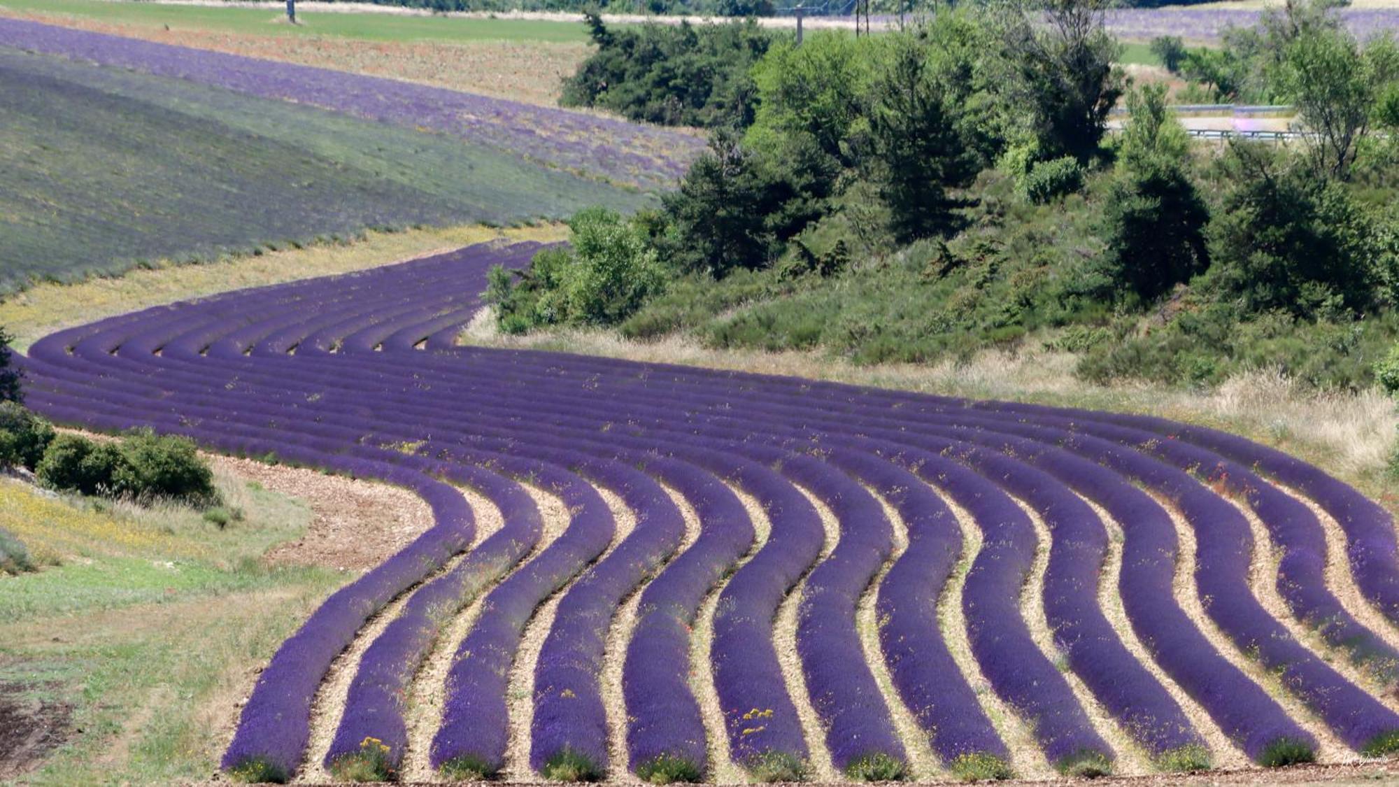 Studio Dans Le Luberon Céreste Kültér fotó